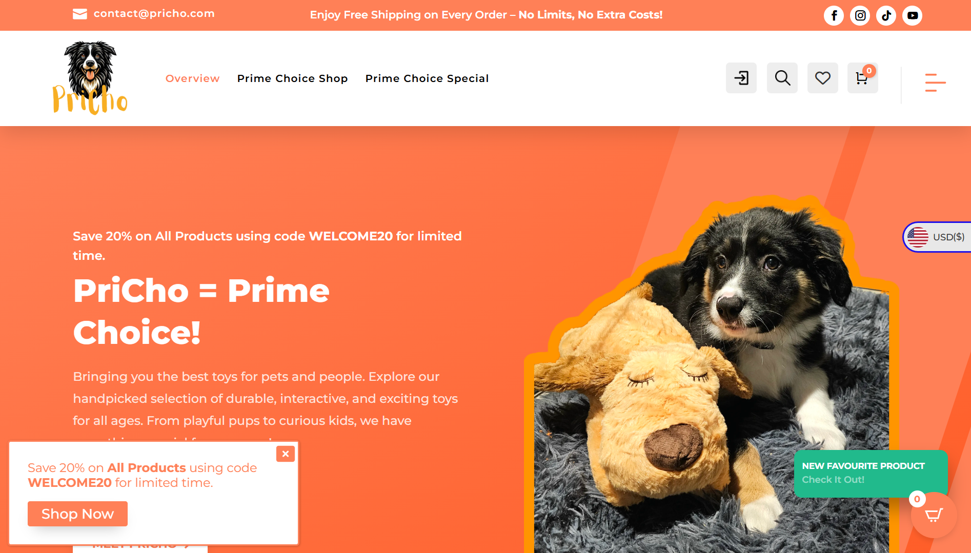 Pricho website homepage